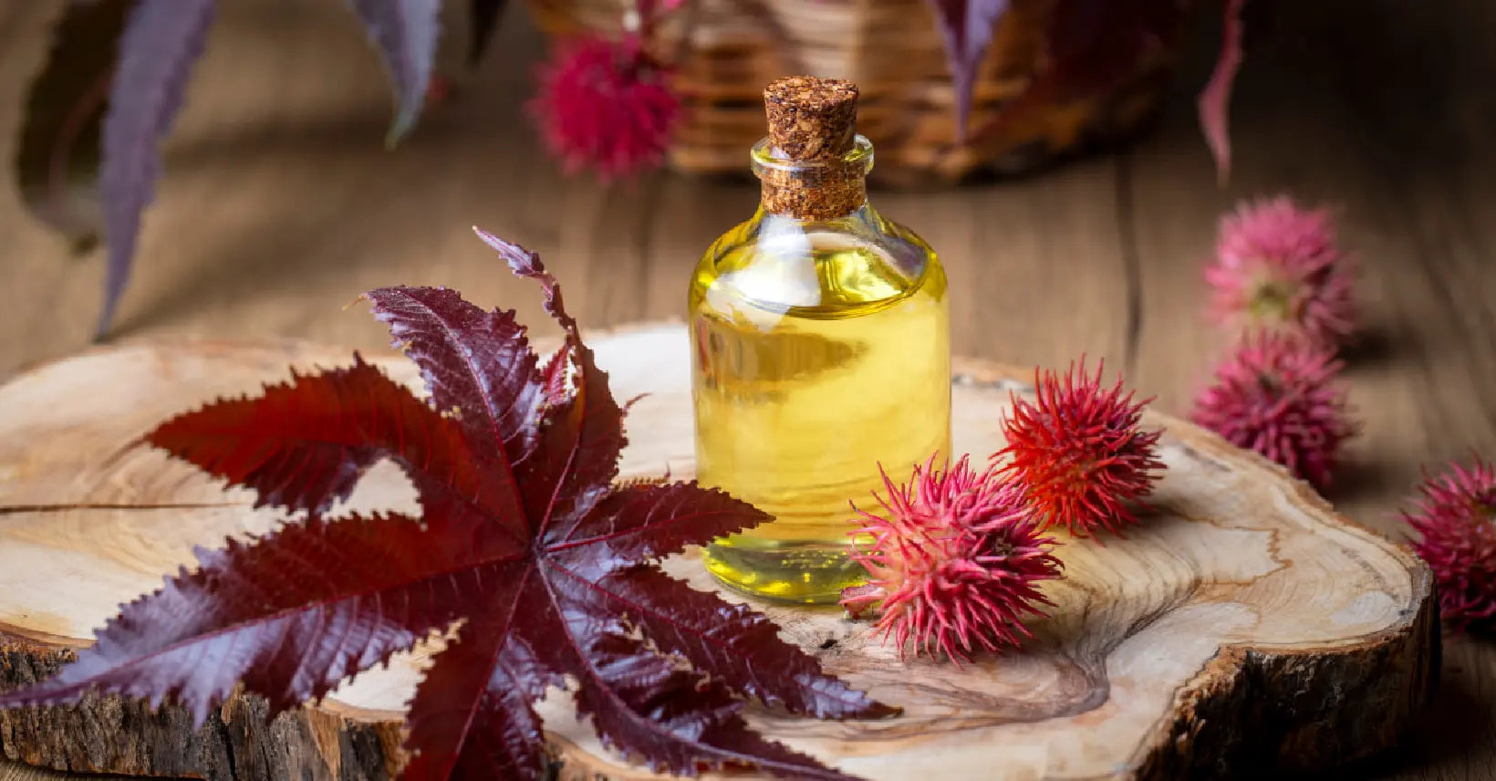 Castor Oil for Toenail Fungus
